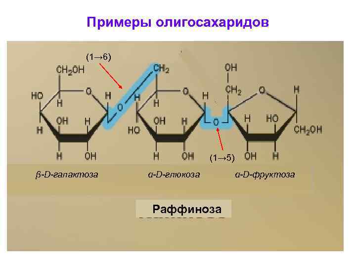 Примеры олигосахаридов (1→ 6) (1→ 5) β-D-галактоза α-D-глюкоза Раффиноза α-D-фруктоза 