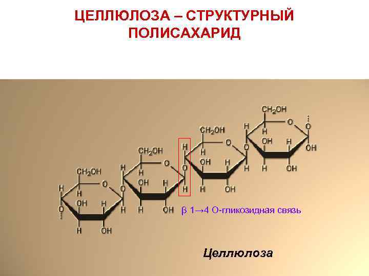 ЦЕЛЛЮЛОЗА – СТРУКТУРНЫЙ ПОЛИСАХАРИД β 1→ 4 О-гликозидная связь Целлюлоза 