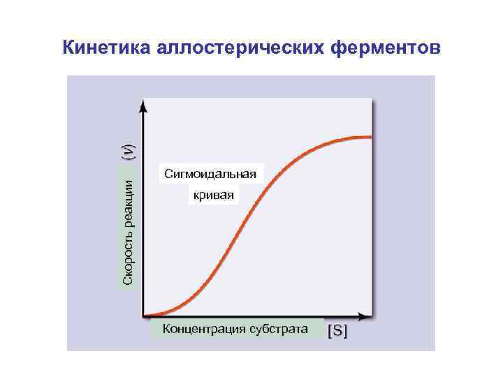 Скорость реакции Кинетика аллостерических ферментов Сигмоидальная кривая Концентрация субстрата 