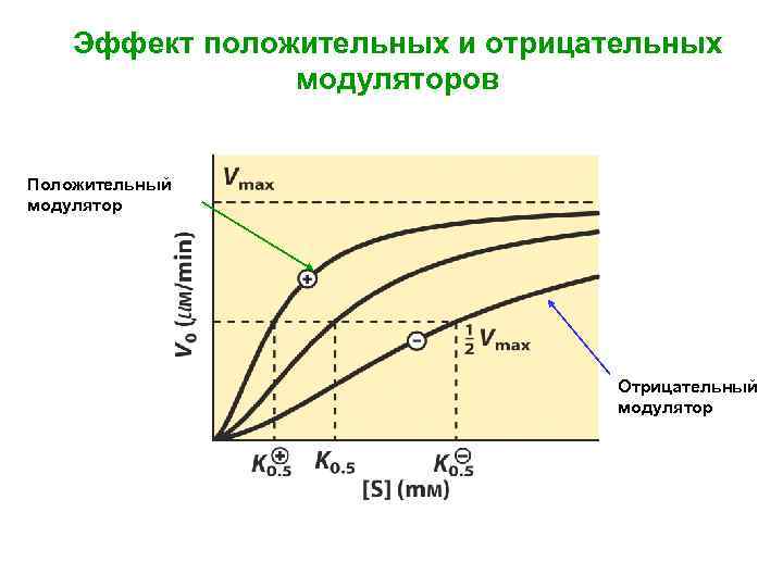 Эффект положительных и отрицательных модуляторов Положительный модулятор Отрицательный модулятор 