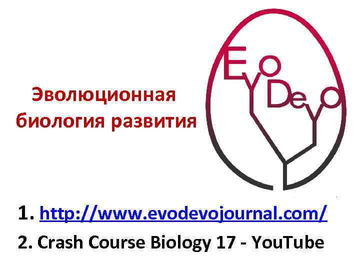 Эволюционная биология развития 1. http: //www. evodevojournal. com/ 2. Crash Course Biology 17 -