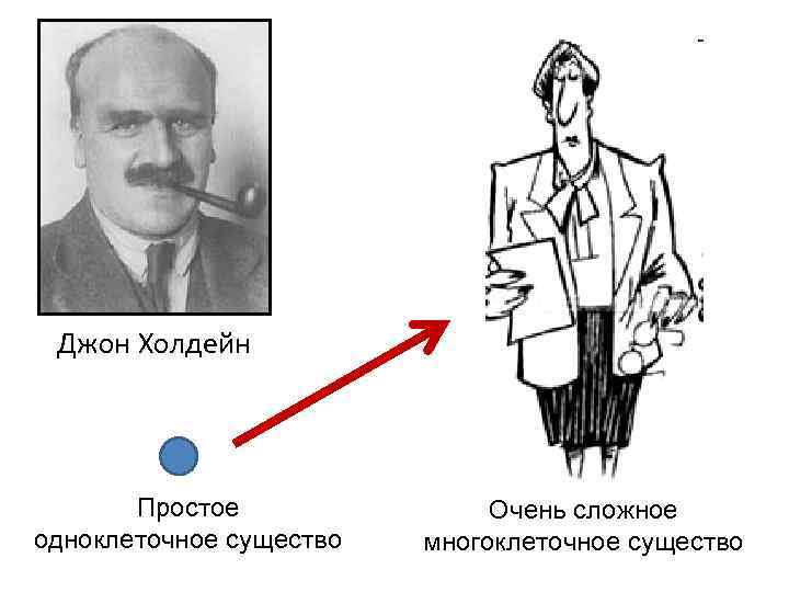 Джон Холдейн Простое одноклеточное существо Очень сложное многоклеточное существо 