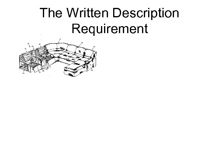 The Written Description Requirement 