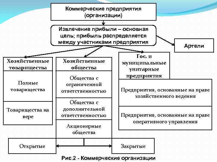 Коммерческие предприятия (организации) Извлечение прибыли – основная цель; прибыль распределяется между участниками предприятия Хозяйственные