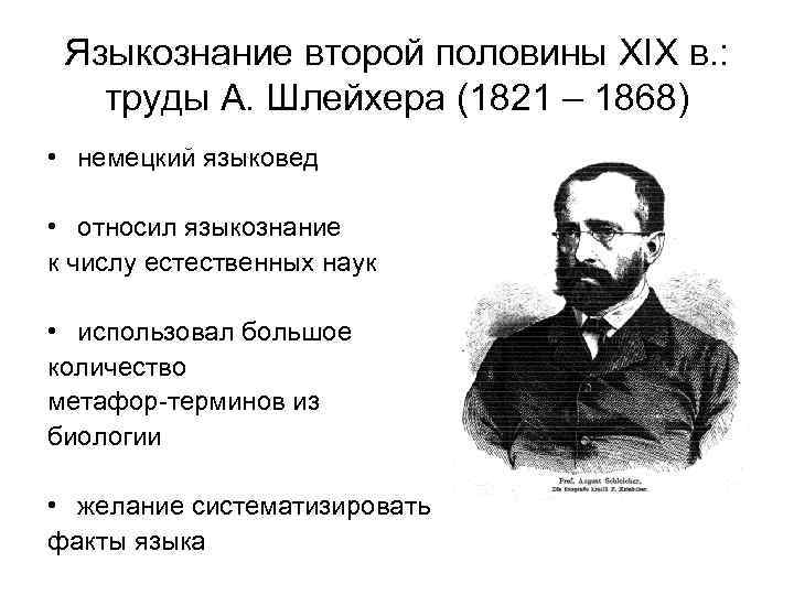 Языкознание второй половины XIX в. : труды А. Шлейхера (1821 – 1868) • немецкий