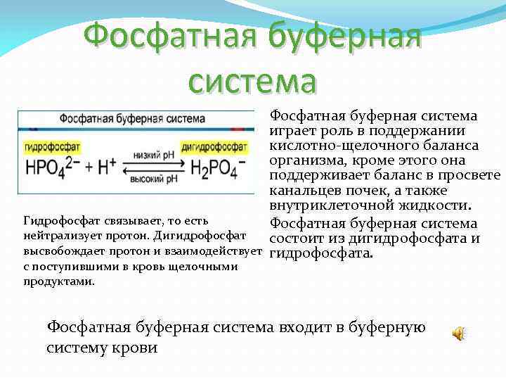 Фосфатная буферная система играет роль в поддержании кислотно щелочного баланса организма, кроме этого она