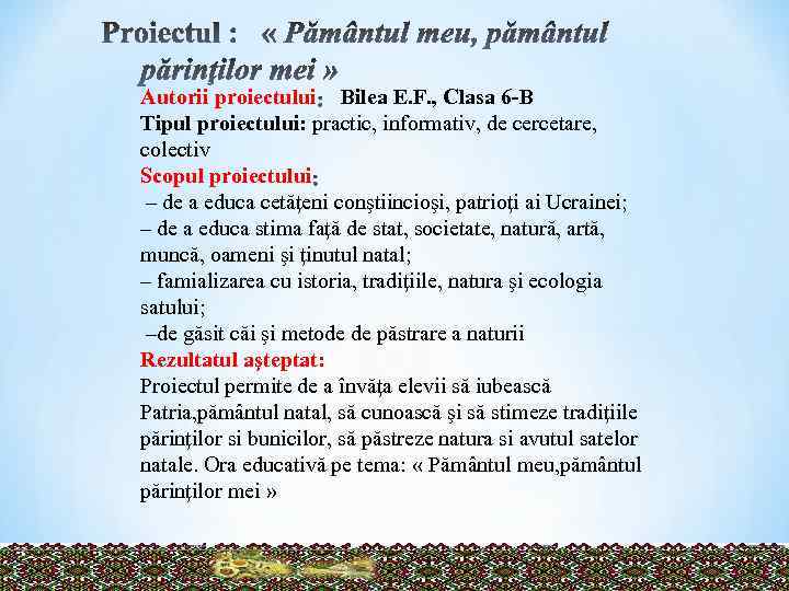 Autorii proiectului Bilea E. F. , Clasa 6 -B Tipul proiectului: practic, informativ, de