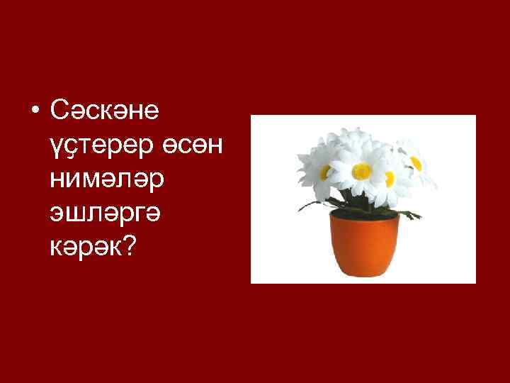  • Сәскәне үҫтерер өсөн нимәләр эшләргә кәрәк? 