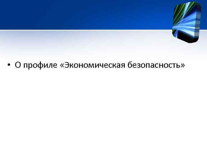  • О профиле «Экономическая безопасность» 