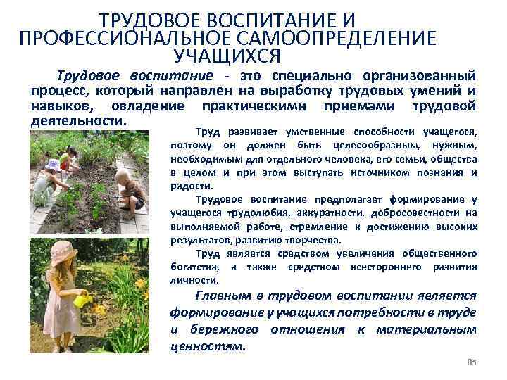 ТРУДОВОЕ ВОСПИТАНИЕ И ПРОФЕССИОНАЛЬНОЕ САМООПРЕДЕЛЕНИЕ УЧАЩИХСЯ Трудовое воспитание это специально организованный процесс, который направлен