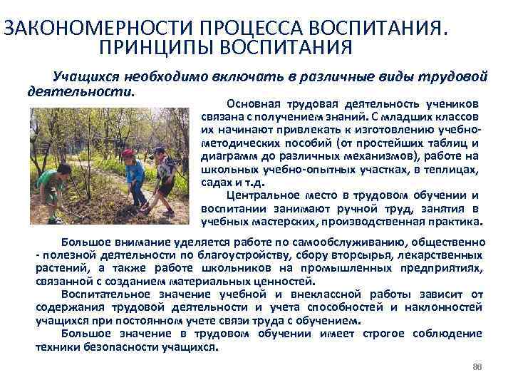 ЗАКОНОМЕРНОСТИ ПРОЦЕССА ВОСПИТАНИЯ. ПРИНЦИПЫ ВОСПИТАНИЯ Учащихся необходимо включать в различные виды трудовой деятельности. Основная