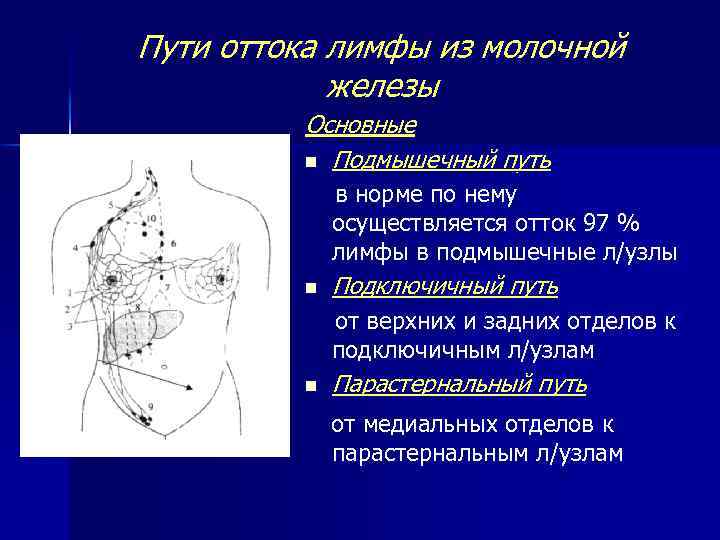 Пути оттока лимфы из молочной железы Основные n Подмышечный путь в норме по нему