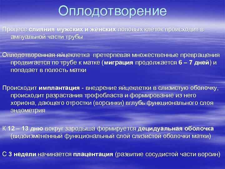 Оплодотворение Процесс слияния мужских и женских половых клеток происходит в ампуальной части трубы Оплодотворенная