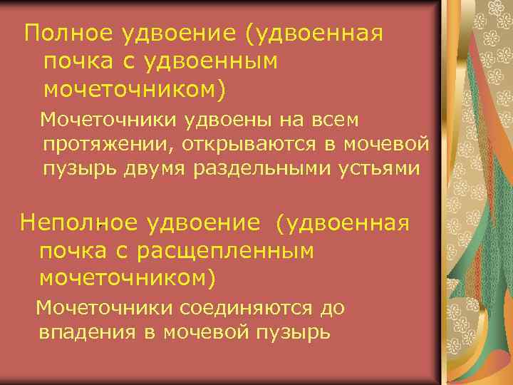 Полное удвоение (удвоенная почка с удвоенным мочеточником) Мочеточники удвоены на всем протяжении, открываются в