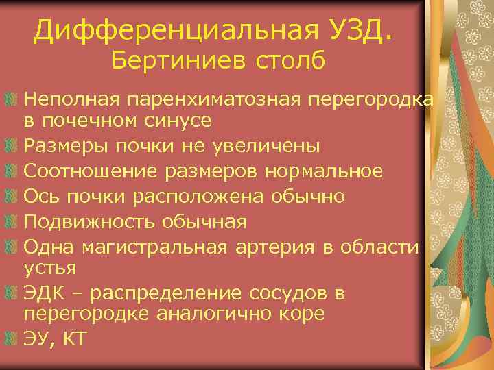 Дифференциальная УЗД. Бертиниев столб Неполная паренхиматозная перегородка в почечном синусе Размеры почки не увеличены