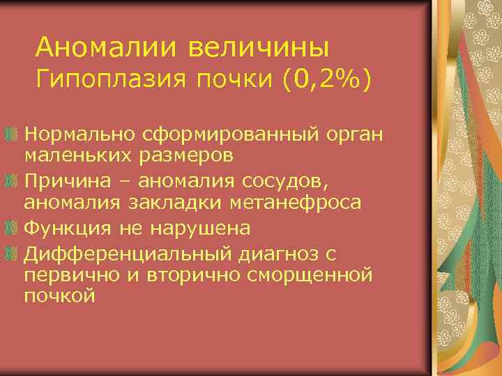 Аномалии величины Гипоплазия почки (0, 2%) Нормально сформированный орган маленьких размеров Причина – аномалия