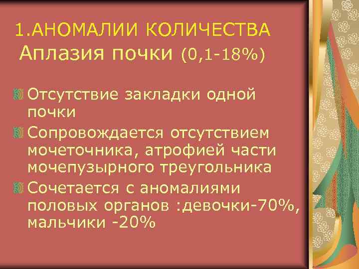 1. АНОМАЛИИ КОЛИЧЕСТВА Аплазия почки (0, 1 -18%) Отсутствие закладки одной почки Сопровождается отсутствием