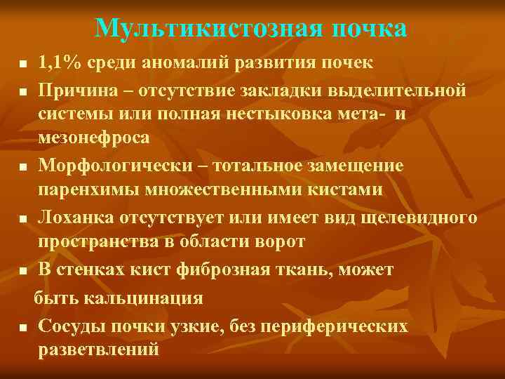 Мультикистозная почка 1, 1% среди аномалий развития почек n Причина – отсутствие закладки выделительной