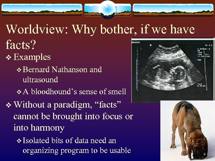 Worldview: Why bother, if we have facts? v Examples v Bernard Nathanson and ultrasound
