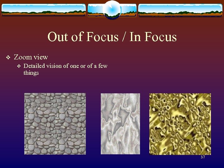 Out of Focus / In Focus v Zoom view v Detailed vision of one
