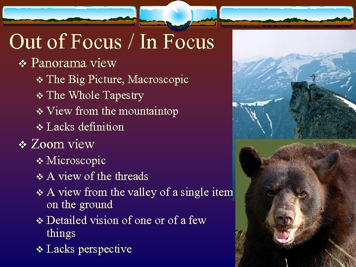 Out of Focus / In Focus v Panorama view The Big Picture, Macroscopic v