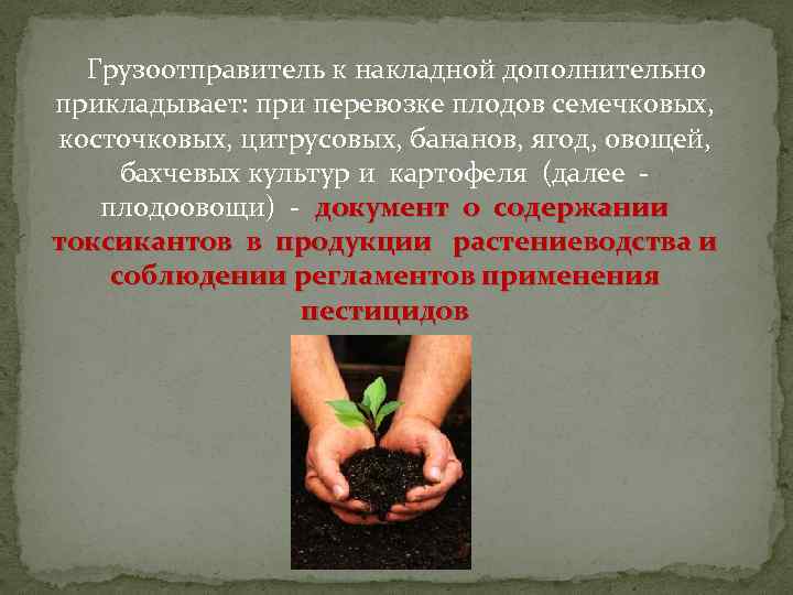 Грузоотправитель к накладной дополнительно прикладывает: при перевозке плодов семечковых, косточковых, цитрусовых, бананов, ягод, овощей,