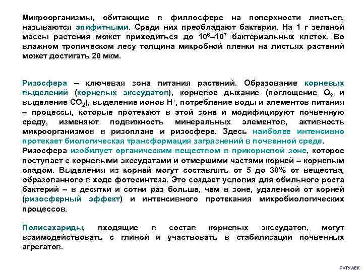 Микроорганизмы, обитающие в филлосфере на поверхности листьев, называются эпифитными. Среди них преобладают бактерии. На