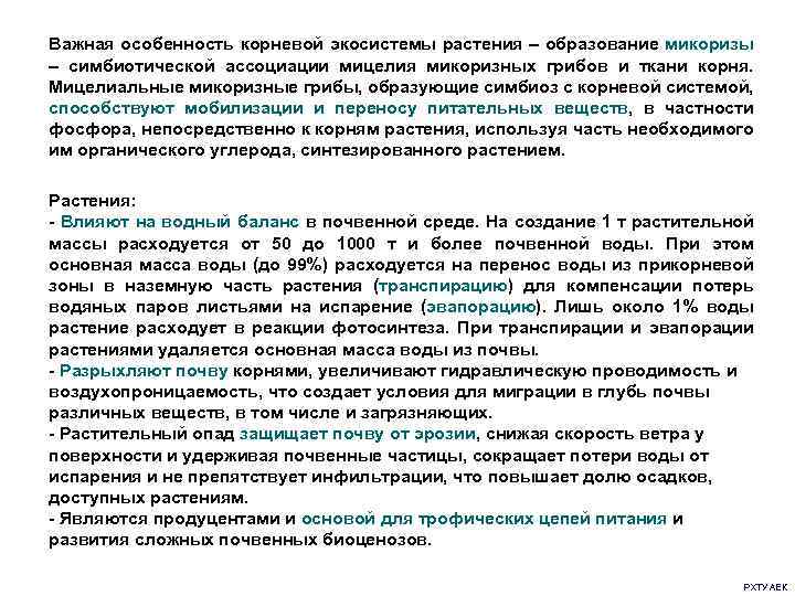 Важная особенность корневой экосистемы растения – образование микоризы – симбиотической ассоциации мицелия микоризных грибов