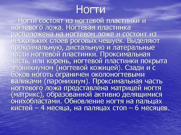 Ногти состоят из ногтевой пластинки и ногтевого ложа. Ногтевая пластинка расположена на ногтевом ложе