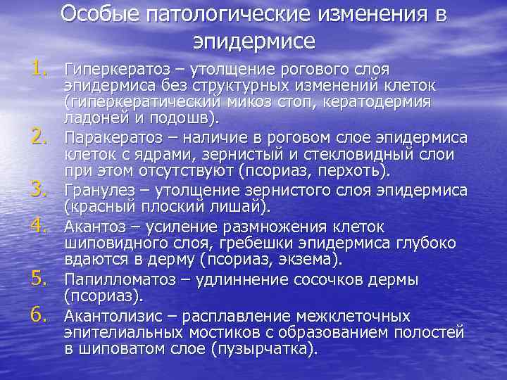 Особые патологические изменения в эпидермисе 1. Гиперкератоз – утолщение рогового слоя 2. 3. 4.