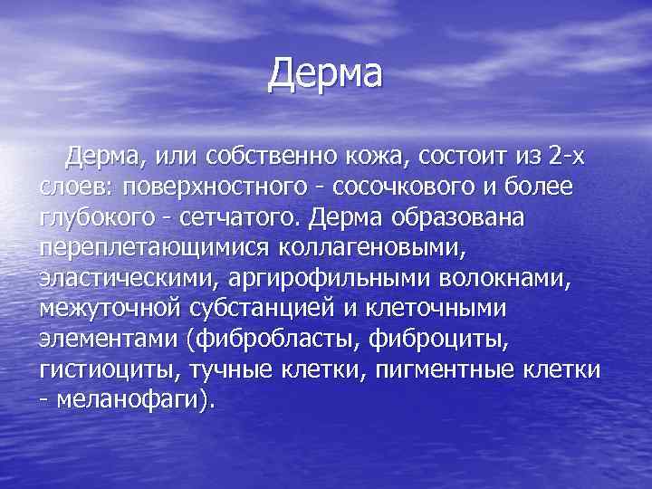 Дерма, или собственно кожа, состоит из 2 х слоев: поверхностного сосочкового и более глубокого