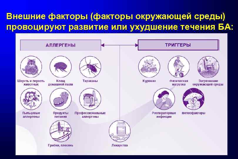 Внешние факторы (факторы окружающей среды) провоцируют развитие или ухудшение течения БА: ТРИГГЕРЫ 