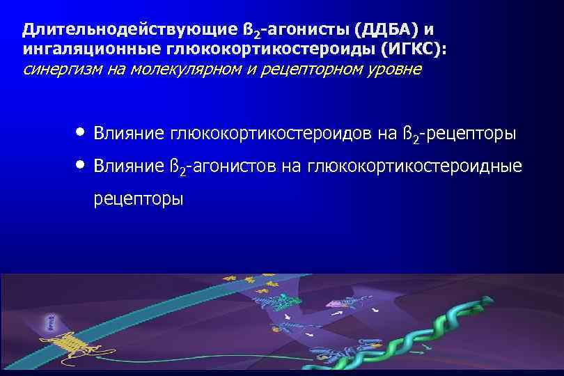 Длительнодействующие ß 2 -агонисты (ДДБА) и ингаляционные глюкокортикостероиды (ИГКС): синергизм на молекулярном и рецепторном