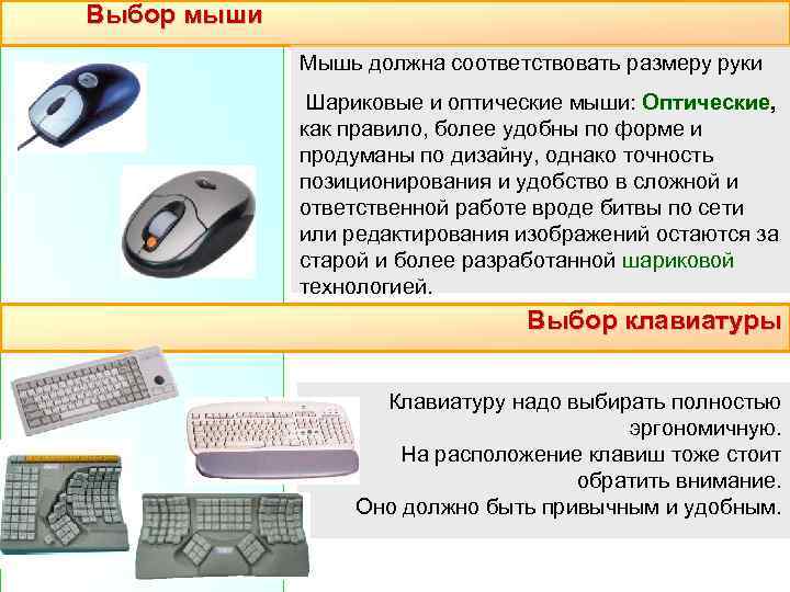 Форма организации информатика