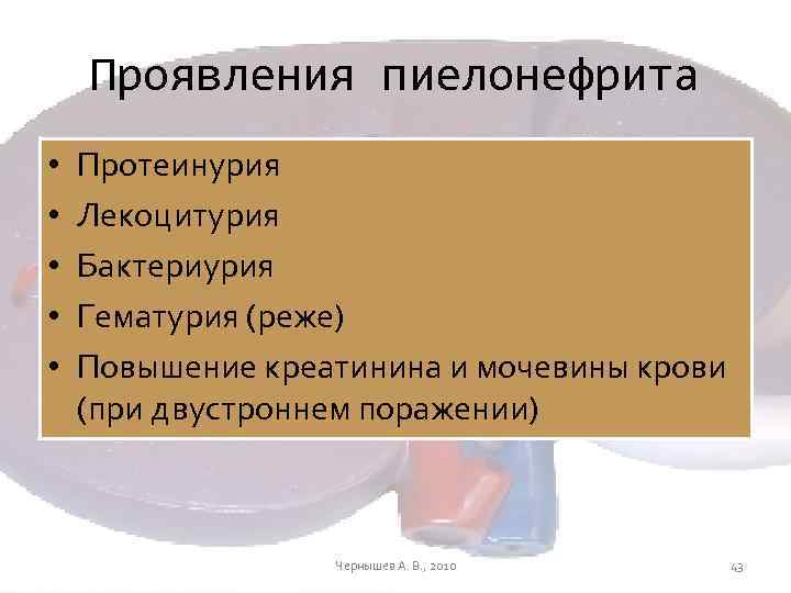 Проявления пиелонефрита • • • Протеинурия Лекоцитурия Бактериурия Гематурия (реже) Повышение креатинина и мочевины