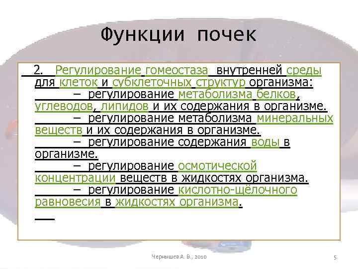 Функции почек 2. Регулирование гомеостаза внутренней среды для клеток и субклеточных структур организма: –