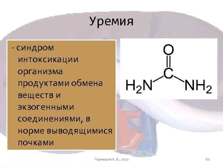 Уремия - синдром интоксикации организма продуктами обмена веществ и экзогенными соединениями, в норме выводящимися