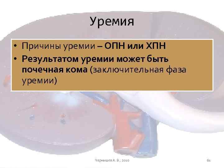 Уремия • Причины уремии – ОПН или ХПН • Результатом уремии может быть почечная