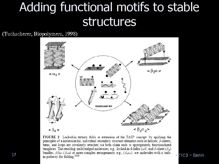 Adding functional motifs to stable structures (Tuchscherer, Biopolymers, 1998) 17 *21 C 3 –