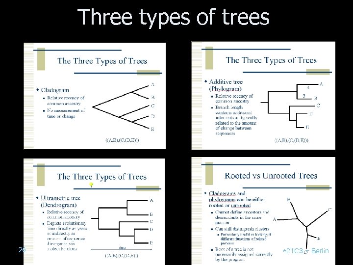 Three types of trees 26 *21 C 3 – Berlin 