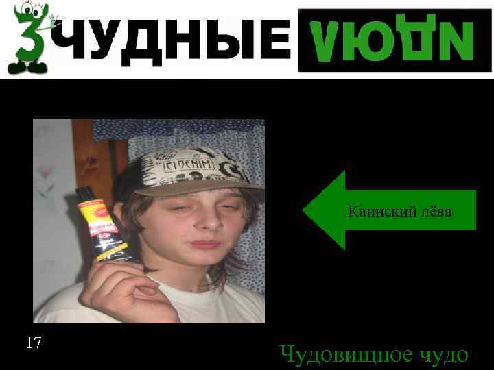 Спасибо за внимание Каннский лёва 17 Чудовищное чудо 17 