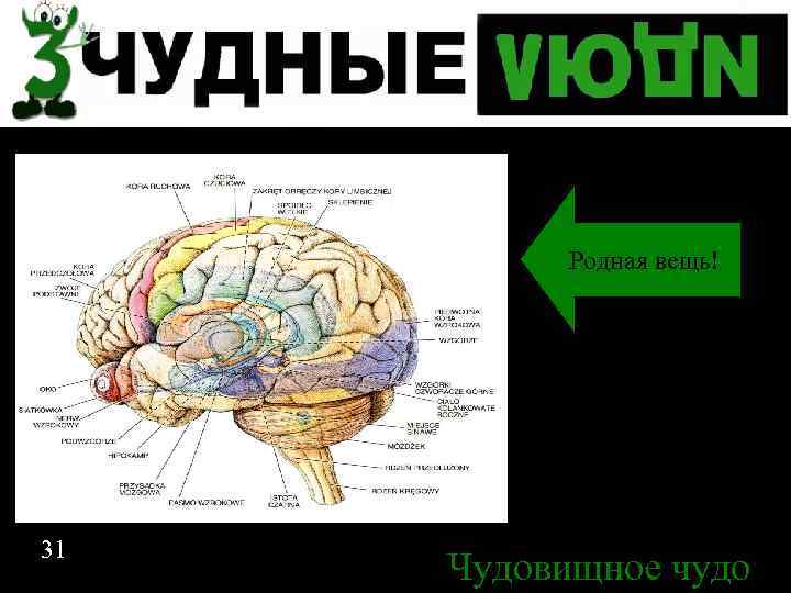 Родная вещь! Спасибо за внимание 31 Чудовищное чудо 31 