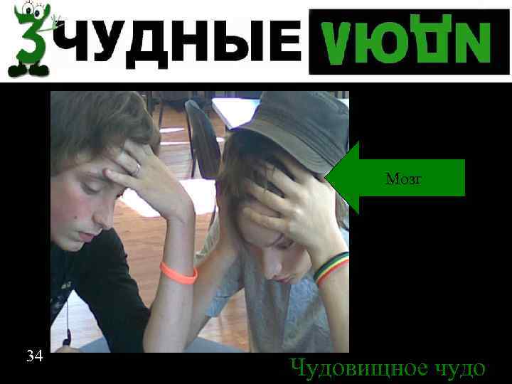 Спасибо за внимание Мозг 34 Чудовищное чудо 34 