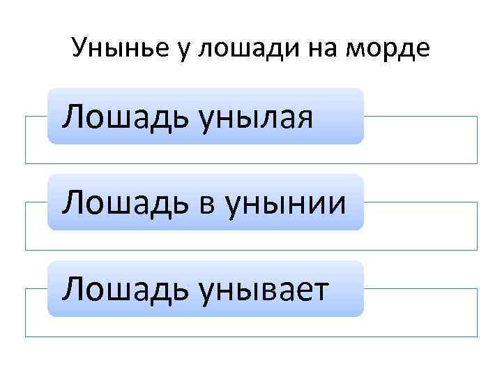 Унынье у лошади на морде Лошадь унылая Лошадь в унынии Лошадь унывает 