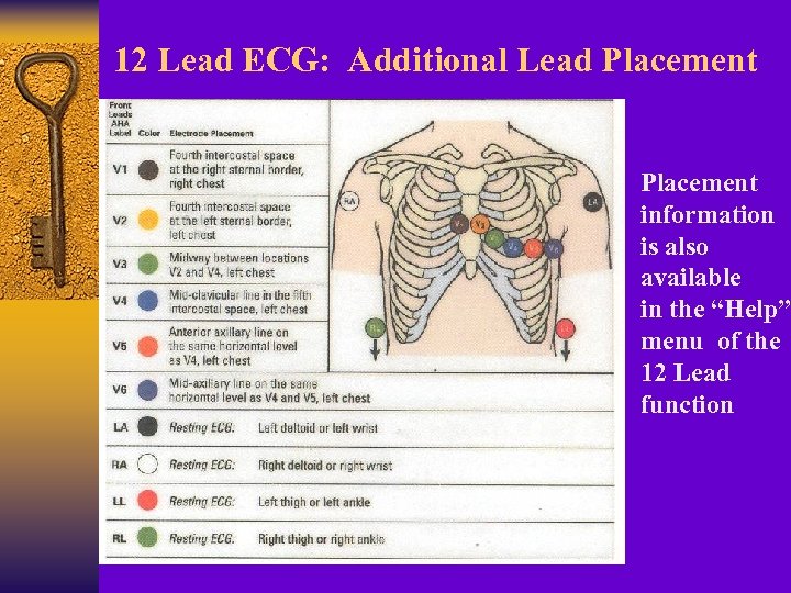 12 Lead ECG: Additional Lead Placement information is also available in the “Help” menu