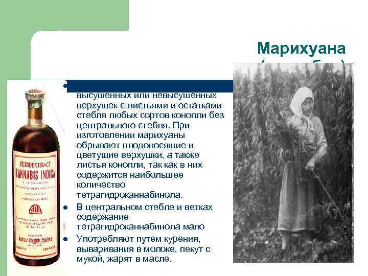 Марихуана (каннабис) l l l Приготовленная смесь высушенных или невысушенных верхушек с листьями и