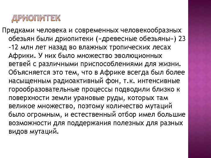 Предками человека и современных человекообразных обезьян были дриопитеки ( «древесные обезьяны» ) 23 -12