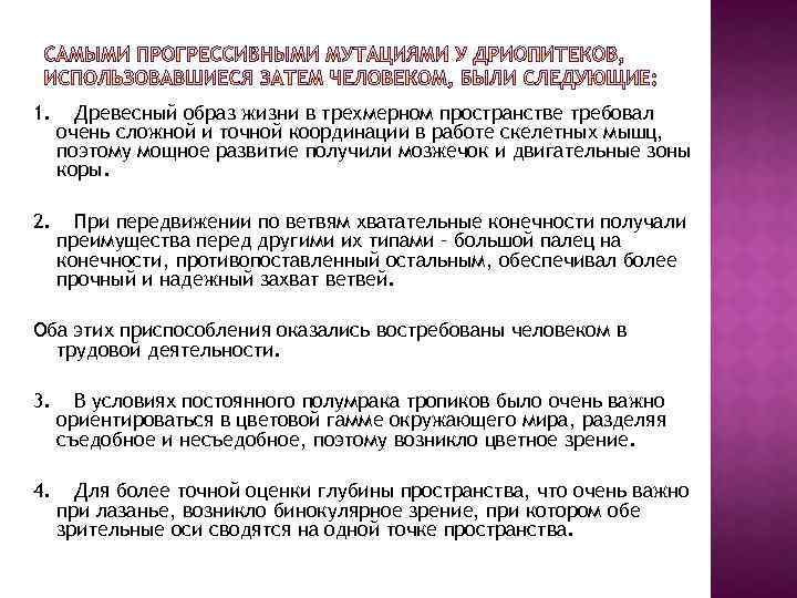 1. 2. Древесный образ жизни в трехмерном пространстве требовал очень сложной и точной координации