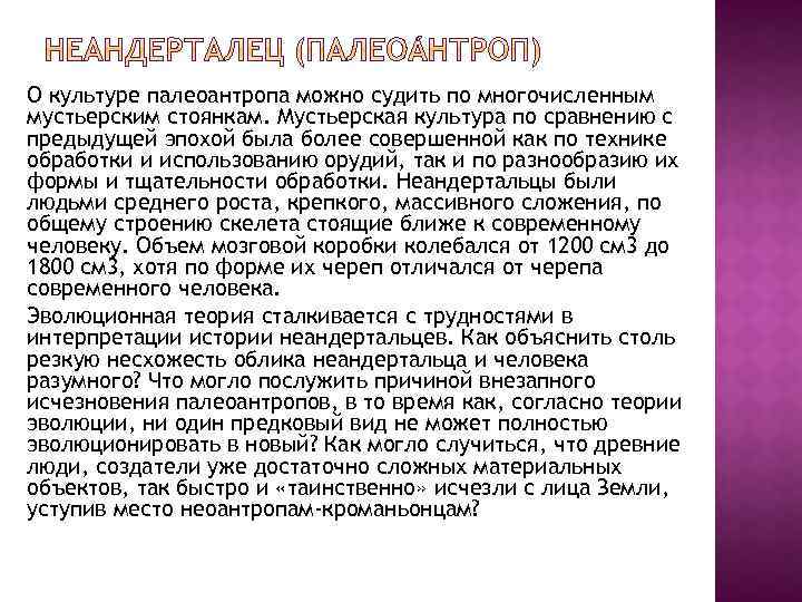 О культуре палеоантропа можно судить по многочисленным мустьерским стоянкам. Мустьерская культура по сравнению с