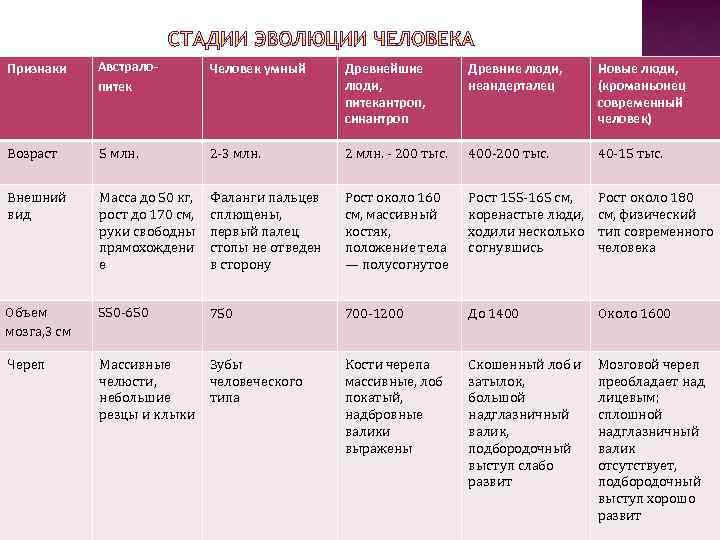 Признаки Австралопитек Человек умный Древнейшие люди, питекантроп, синантроп Древние люди, неандерталец Новые люди, (кроманьонец
